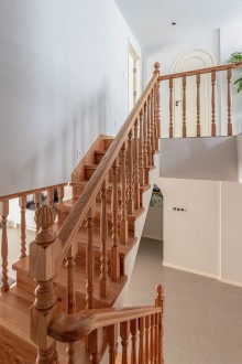 镜湖园恬淡田园功能区效果图